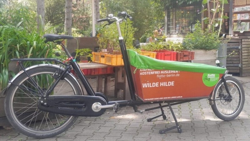 Wilde Hilde